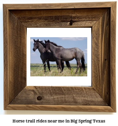 horse trail rides near me in Big Spring, Texas